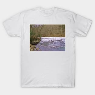 Take A Swim T-Shirt